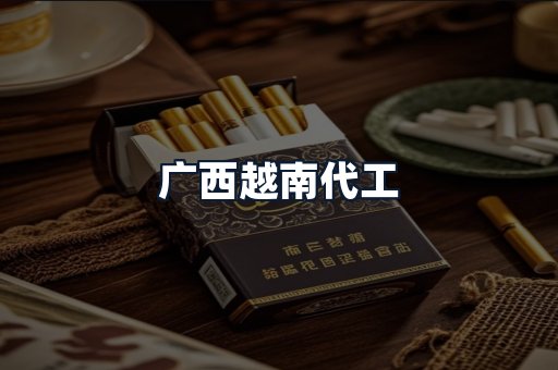 广西越南代工